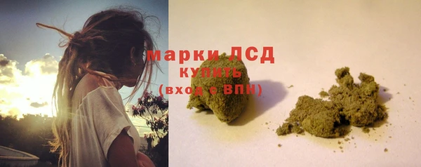 PSILOCYBIN Армянск