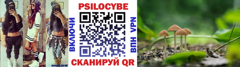 купить наркоту  Ивантеевка  Псилоцибиновые грибы прущие грибы 